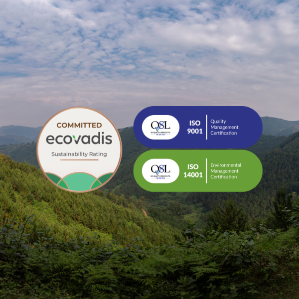 ISO and Ecovadis Certified